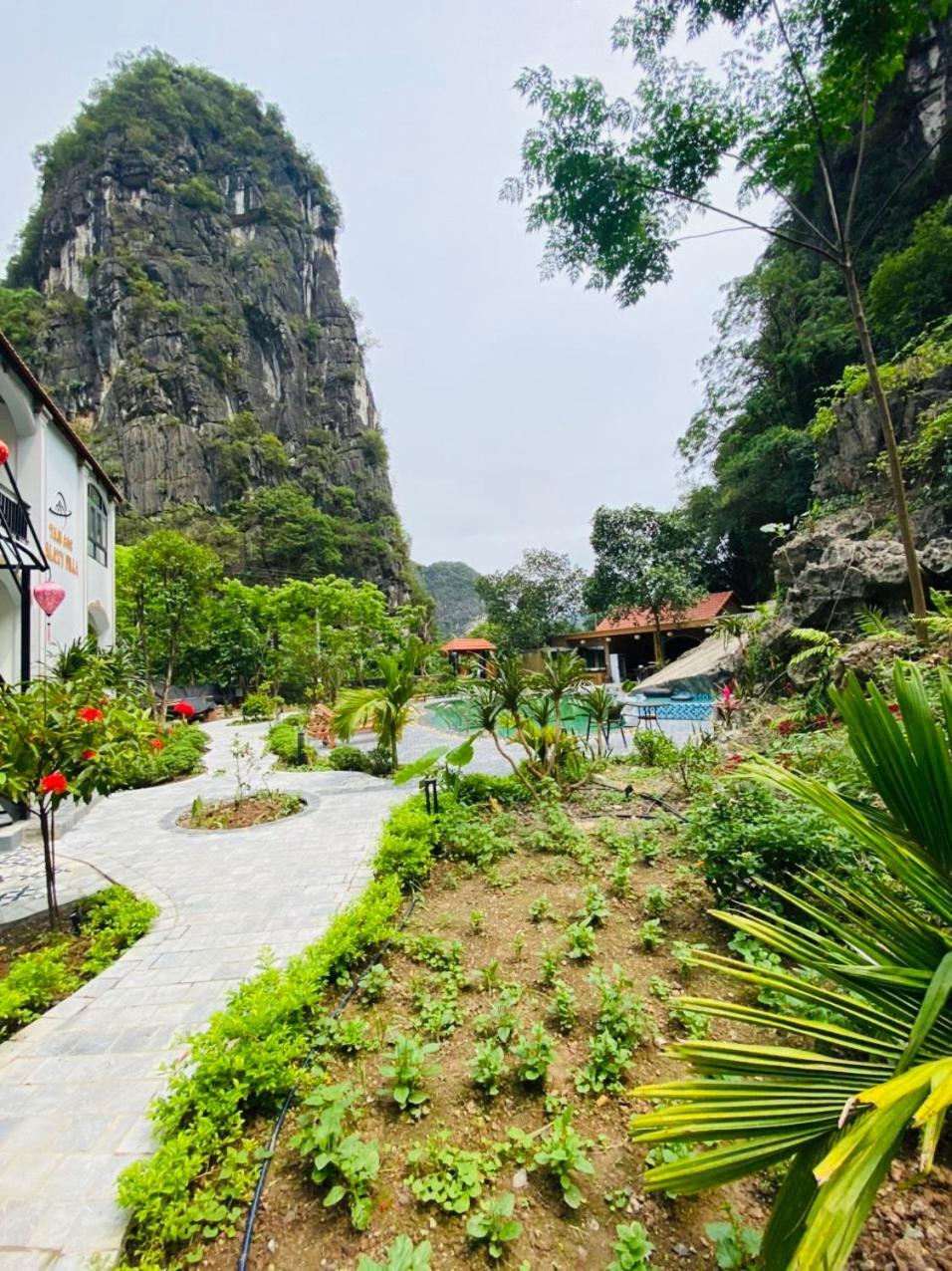 Tam Coc Galaxy Villa Ninh Binh Buitenkant foto